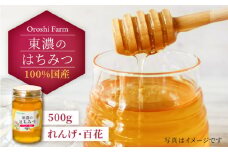 100％国産岐阜の豊かな自然で取れた東濃のはちみつ 500g（れんげ） 非加熱 天然 国産  [MAB005]