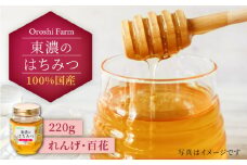 100％国産岐阜の豊かな自然で取れた東濃のはちみつ 220g（れんげ） 非加熱 天然 国産 [MAB008]