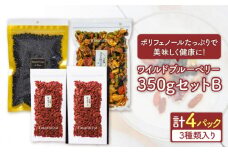 ＜ポリフェノールたっぷり＞ ワイルドブルーベリー 350gセットB(ヨーグルト用ミックス)【多々楽達屋】 砂糖不使用 ドライフルーツ クコ たたらちや [MAD012]
