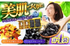＜ポリフェノールたっぷり＞ ワイルドブルーベリー 700gセットA(ヨーグルト用ミックス)【多々楽達屋】 砂糖不使用 ドライフルーツ たたらちや tataratiya [MAD014]