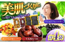 ＜ポリフェノールたっぷり＞ ワイルドブルーベリー 700gセットB(ヨーグルト用ミックス)【多々楽達屋】 砂糖不使用 ドライフルーツ なつめ たたらちや tataratiya [MAD015]