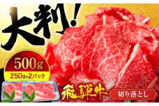 ＜いろんな料理に使える！＞ 飛騨牛 A5ランク 切り落とし 500g(250g×2)【有限会社マルゴー】国産牛 和牛 霜降り [MBE002]