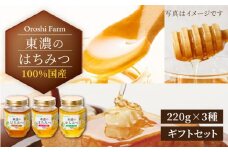 100％国産岐阜の豊かな自然で取れた東濃のはちみつ 220g×3種 計660g（ギフトセット） 天然 国産 非加熱 [MAB002]