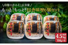 【自慢の赤みそ大容量セット】もっと！もっと！ 田舎味噌 6個セット【株式会社大竹醤油醸造場】食品 調味料 赤味噌 [MAO009]