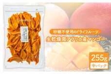 ＜食感も楽しめる＞ 生乾燥 南アフリカ産 マンゴー 中パック255g【多々楽達屋】 砂糖不使用 ドライフルーツ たたらちや [MAD016]