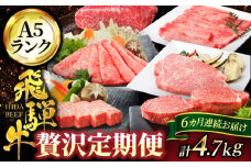 【6回定期便】半年間お届けする A5ランク 飛騨牛 贅沢定期便コース【有限会社マルゴー】 もも肉 ヒレ肉 ロース サーロイン イチボ ランプ [MBE037]