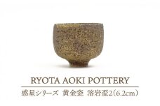 【美濃焼】 黄金瓷溶岩盃 2 (約6.2cm) 【RYOTA AOKI POTTERY/青木良太】 [MCH064]