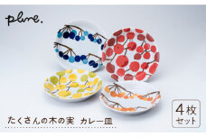 【美濃焼】 Plune たくさんの木の実カレー皿セット 【陶友 長江商店】食器 パスタ皿 プレート [MCO002]