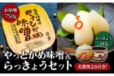 【土岐の美濃焼と共に】やっとかめ 味噌 ＆ らっきょう セット【株式会社大竹醤油醸造場】調味料 みそ おつまみ [MAO010]