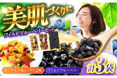 ワイルドブルーベリー200gセットB(ヨーグルト用ミックス)【多々楽達屋】砂糖不使用 ドライフルーツ たたらちや tataratiya [MAD034]