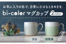 【美濃焼】 bi-color マグカップ 2色セット (月白・淡萌黄) 【山二製陶所】 食器 マグ コーヒーカップ [MDA004]