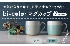【美濃焼】 bi-color マグカップ 2色セット (月白・白群) 【山二製陶所】 食器 マグ コーヒーカップ [MDA006]