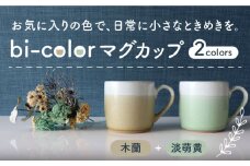 【美濃焼】 bi-color マグカップ 2色セット (淡萌黄・木蘭) 【山二製陶所】 食器 マグ コーヒーカップ [MDA007]