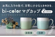 【美濃焼】 bi-color マグカップ 2色セット (淡萌黄・白群) 【山二製陶所】 食器 マグ コーヒーカップ [MDA008]