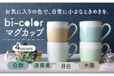 【美濃焼】 bi-color マグカップ 4色セット (白群・淡萌黄・月白・木蘭) 【山二製陶所】 食器 マグ コーヒーカップ [MDA009]