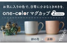 【美濃焼】 one-color マグカップ 2色セット (卯の花・水柿) 【山二製陶所】食器 マグ ペア [MDA010]