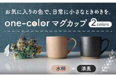 【美濃焼】 one-color マグカップ 2色セット (水柿・漆黒) 【山二製陶所】食器 マグ ペア [MDA013]