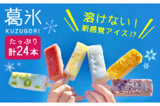 【期間限定】＜新感覚のアイス！？＞葛氷（24本入り）【虎渓渡辺製菓】和菓子 アイス アイスバー 葛バー [MCM005]