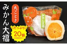 ＜ジューシーでモチモチ＞ 丸ごとみかん大福 (20個入り) 【虎渓渡辺製菓】 和菓子 スイーツ フルーツ大福  [MCM008]
