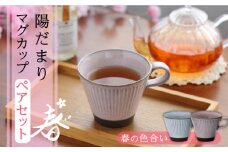 【美濃焼】陽だまり マグカップ ペアセット 春【山勝美濃陶苑】 HDM-3053AW コーヒー 紅茶 セット [MEC001]
