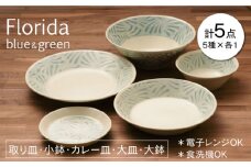 【美濃焼】フロリダ ブルー＆グリーン 取り皿 小鉢 カレー皿 大皿 大鉢 食器セット（各1点合計5点）【うつわやさん－カネ忠】 [MBO036]