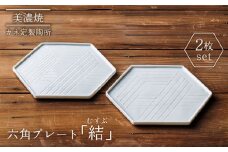 【美濃焼】結（むすぶ）六角プレート 2枚セット【カネ定製陶】食器 プレート 縁起  [MEI003]