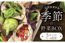 季節の野菜BOX  Sサイズ  （5～6種類）【Farm Regalo】旬野菜 冷蔵 おまかせ [MDU001]