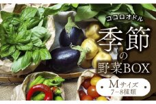 季節の野菜BOX  Mサイズ （7～8種類）【Farm Regalo】旬野菜 冷蔵 おまかせ [MDU002]