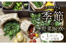 季節の野菜BOX  Lサイズ （10～12種類）【Farm Regalo】旬野菜 冷蔵 おまかせ [MDU003]