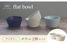 【美濃焼】flat bowl ボウル 2個セット（アイボリー）【KANEAKI SAKAI POTTERY】【TOKI MINOYAKI返礼品】 食器 鉢 小鉢  [MBC033]