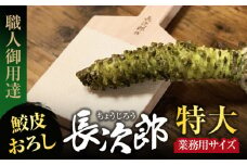 【鮫皮おろし】長次郎 特大 業務用サイズ 職人御用達【ワールドヴィジョン】調理器具 キッチン用品 おろし器 [MDV003]