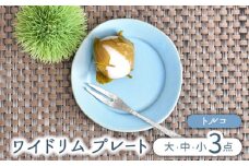 【美濃焼】ワイドリム プレート 大・中・小 3点セット トルコ【金正陶器】食器 丸皿 リム皿 [MAK048]