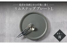 【美濃焼】リムステップ プレート L 宵（ブラック）【789プロジェクト】【一久】食器 大皿 リムプレート [MAW019]