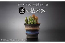 【美濃焼】匠の植木鉢 ゴールドブルー 彩シリーズ【角山製陶所】観葉植物 鉢植え プランター [MCS015]