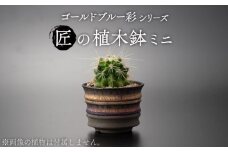 【美濃焼】匠の植木鉢 ミニ ゴールドブルー 彩シリーズ【角山製陶所】観葉植物 鉢植え プランター [MCS016]