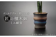 【美濃焼】匠の植器鉢 ミニ 縦型 ゴールドブルー 彩シリーズ【角山製陶所】観葉植物 鉢植え プランター [MCS017]