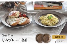 【美濃焼】DesPres-デプレ- リムプレートM GOLD 2枚セット【丸新製陶】 [MAM029]