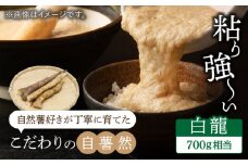 自然薯（白龍）700g相当【小川農園小川屋】 [MAE011]