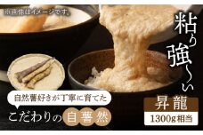 自然薯（昇龍）1300g相当【小川農園小川屋】疲労回復 免疫力向上 産地直送 とろろ [MAE012]