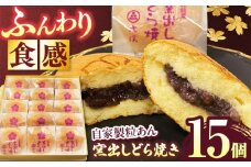 ＜ふんわり食感！＞ 窯出しどら焼き 15個入り 【虎渓渡辺製菓】 どら焼き 和菓子 ギフト [MCM012]