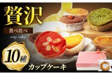 10種セット カップケーキ ひと箱で贅沢食べ比べ！ 【菓子工房オアシス】 焼き菓子 ギフト 焼き立て [MGF003]