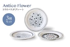【美濃焼】アンティコフラワー トリオパスタプレート 3枚セット【二幸】花柄 食器セット アンティーク [MCZ128]