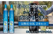 ソーダストリーム ガスシリンダー 交換用 60L 2本セット【ソーダストリーム】炭酸水 水 ソーダ水 [MDN011]
