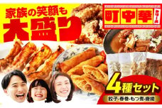 加登屋の町中華 4種セット 4人前 餃子 春巻 からあげ もつ煮【加登屋食堂】名物 冷凍 おすすめ [MGQ004]