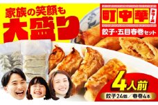 加登屋の町中華 餃子・春巻セット 4人前 【加登屋食堂】冷凍餃子 簡単 おすすめ [MGQ005]