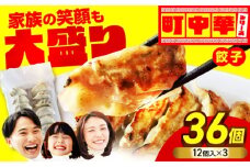 肉汁じゅわ～ 餃子 36個 【加登屋食堂】中華 冷凍餃子 お取り寄せ [MGQ006]
