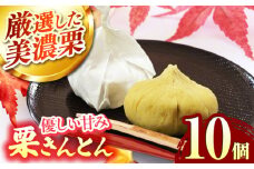 ＜期間限定＞ 栗きんとん 10個入り 【虎渓渡辺製菓】 栗 和菓子 くりきんとん [MCM009]