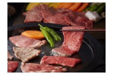 2 特撰飛騨牛Ａ５等級　焼肉用1.6kg超