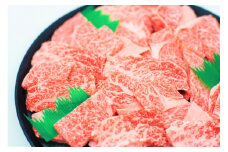 9 特撰飛騨牛Ａ５等級　肩ロース・赤身　焼肉用900g
