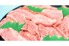 11 特撰飛騨牛Ａ５等級　上カルビ(バラ)　焼肉用800g
